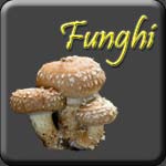 funghi